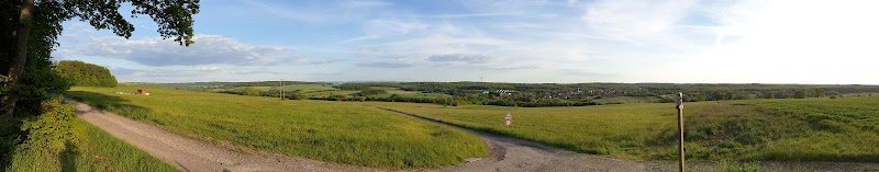 L'Écolo Canine - photo 2