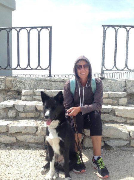 No bad dogs, éducateur canin - photo 3