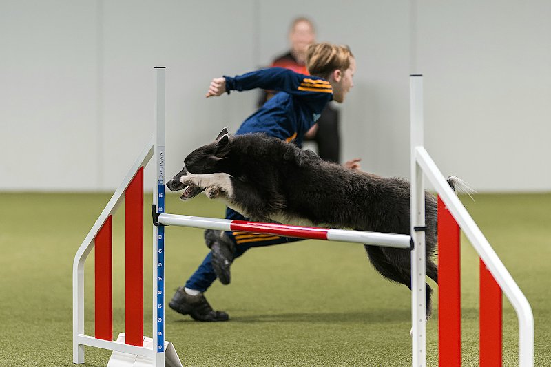 Club canin Ham sous Varsberg