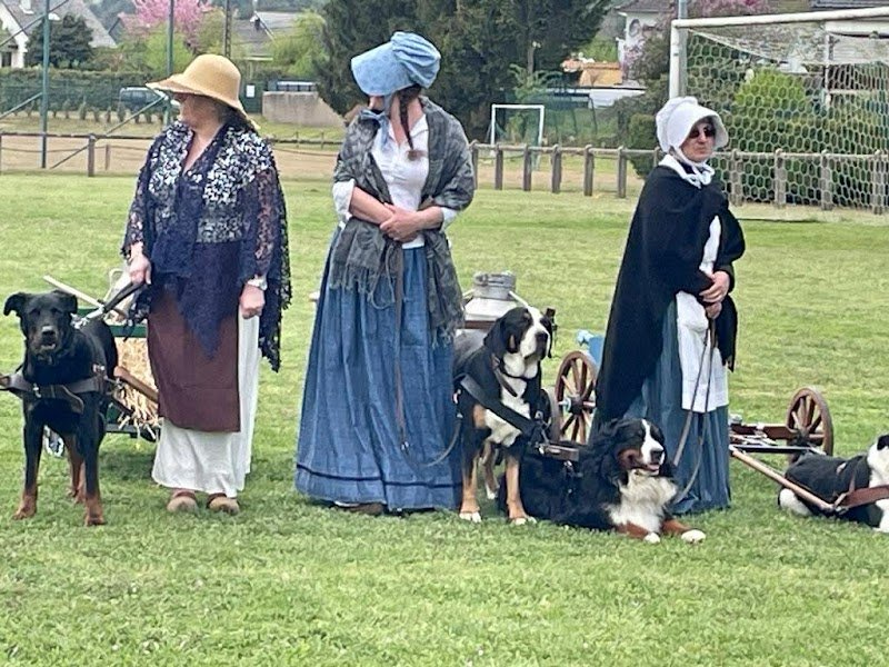 Club canin Ham sous Varsberg - photo 3