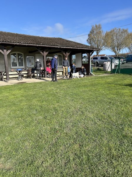 Club canin d'ENCHENBERG - photo 2