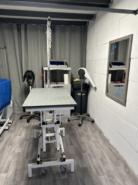 Aristo Chien - photo 1