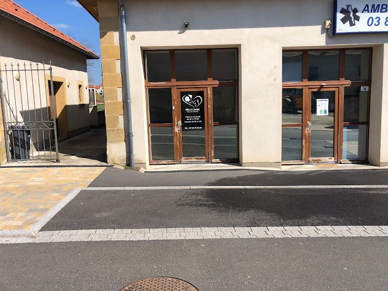 Felix canin - photo 2