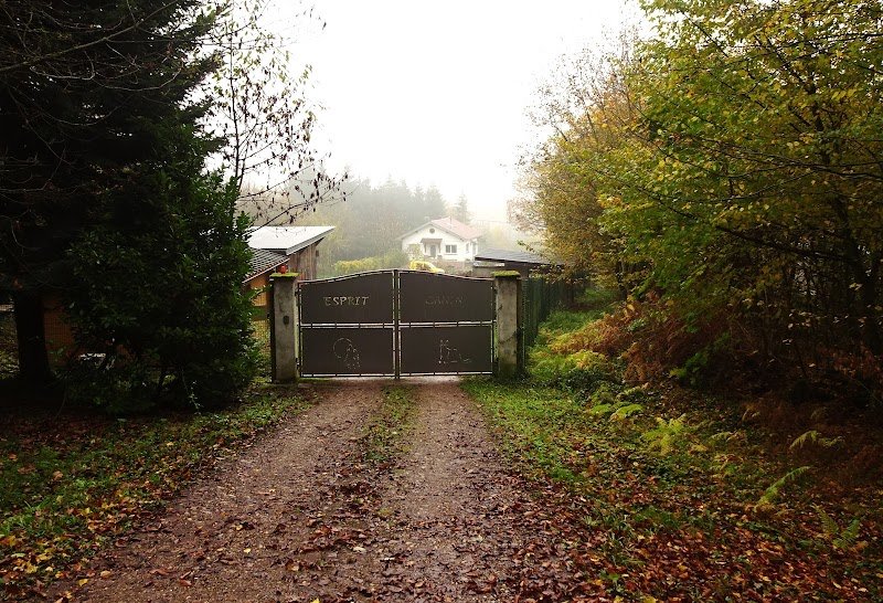 Esprit Canin - photo 1