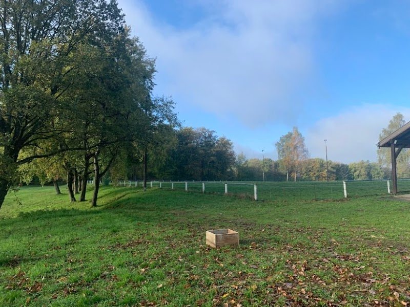 Club Canin Ingwiller - photo 2