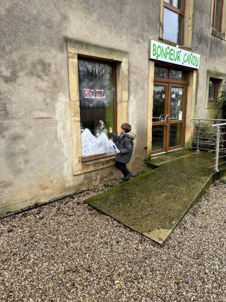 Bonheur Canin - photo 2