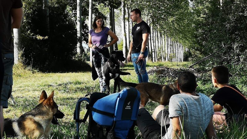 Joan Braun Educateur Canin - photo 1
