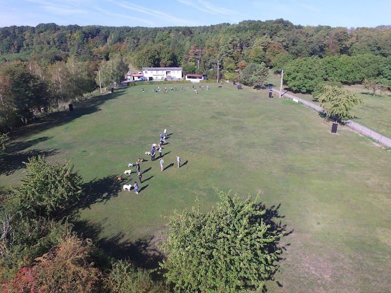 Amicale Canine Westhoffen et Environs (A.C.W.E.) - photo 1