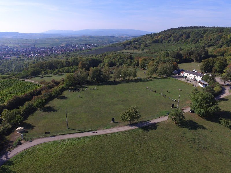 Amicale Canine Westhoffen et Environs (A.C.W.E.) - photo 3