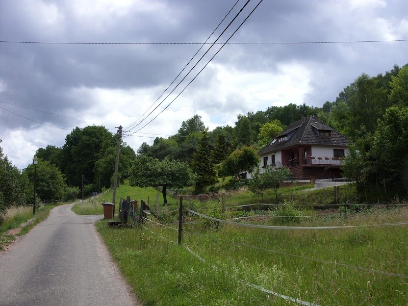 L'ère des chiens - photo 3