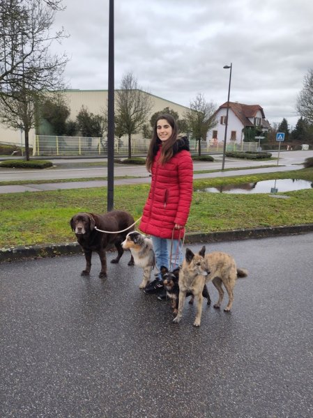 Éducation canine La Félicité des 4 Pattes - photo 2