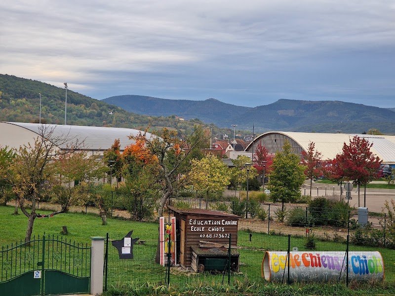 Education Canine Rosheim - photo 3
