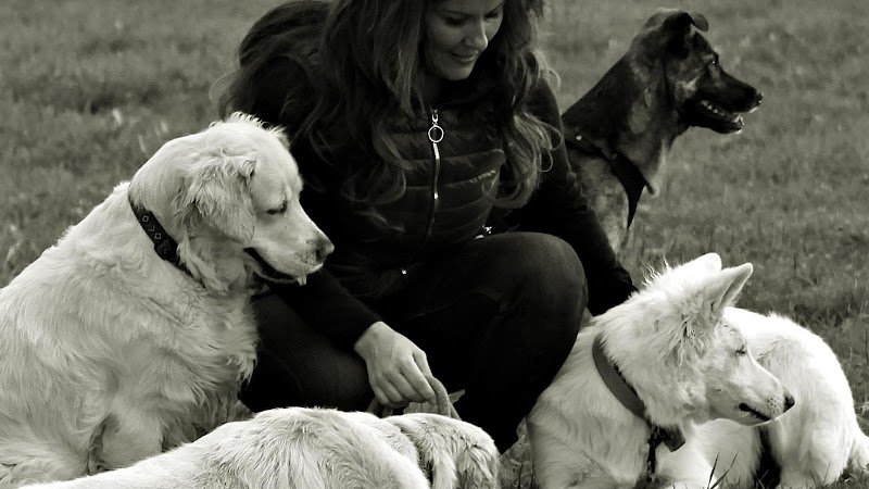 Une autre écoute - Education canine et équine