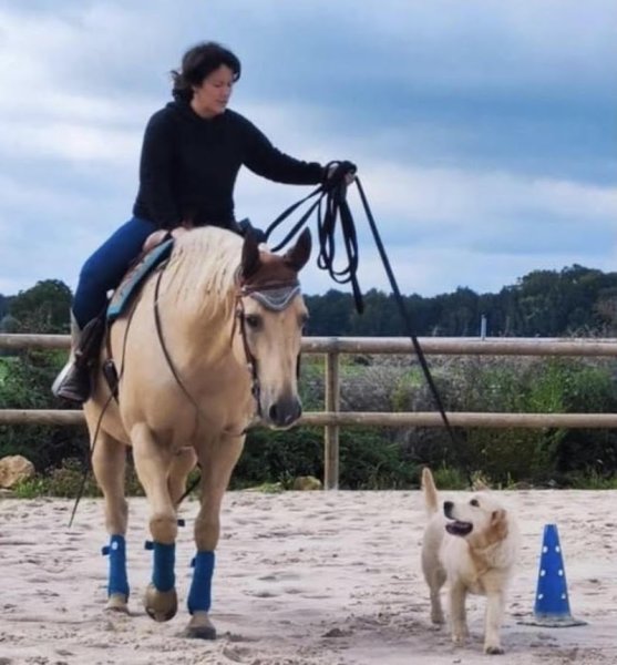 Une autre écoute - Education canine et équine - photo 2