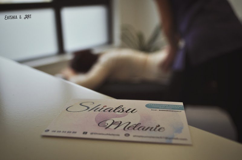 Shiatsu Mélanie - Praticienne en Shiatsu équin canin bovin humain - - photo 2