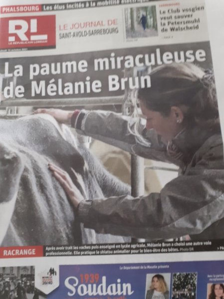 Shiatsu Mélanie - Praticienne en Shiatsu équin canin bovin humain - - photo 3