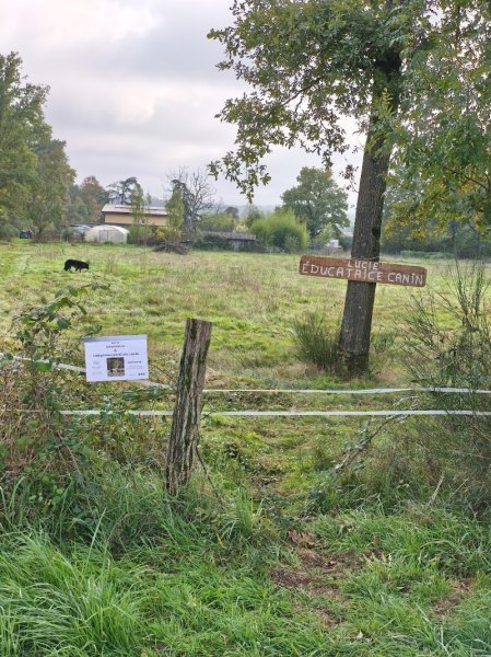 Lucie Éducatrice, Comportementaliste canin - photo 2