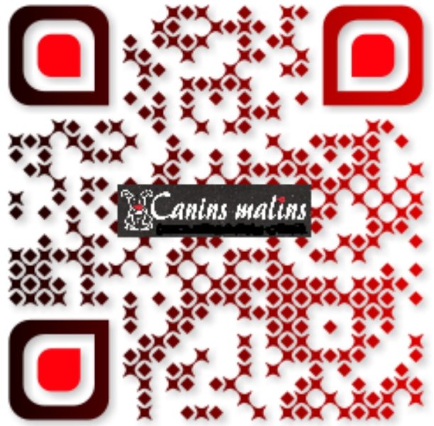 CANINS MALINS Comportement et éducation - photo 2