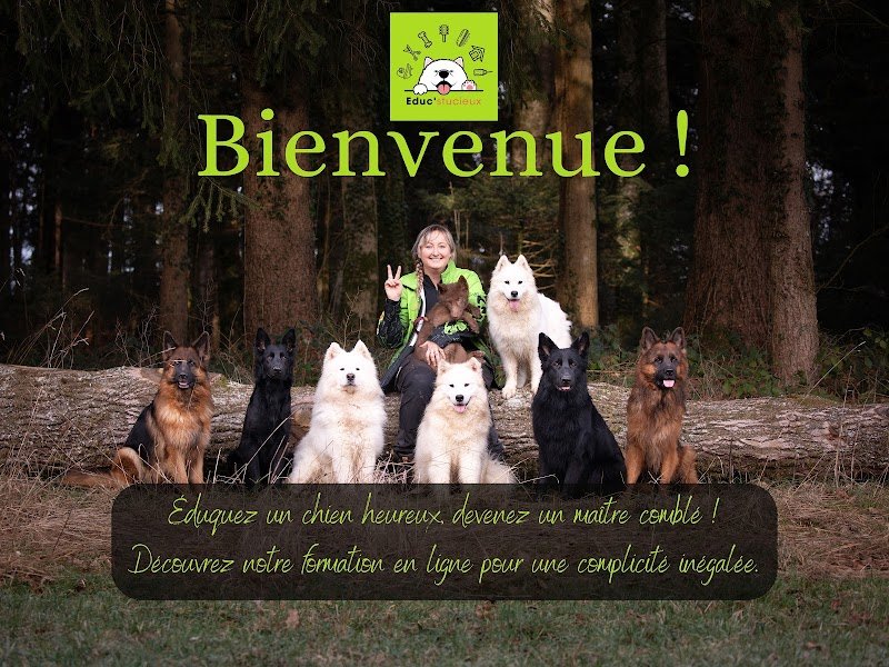 Centre canin Educ'stucieux