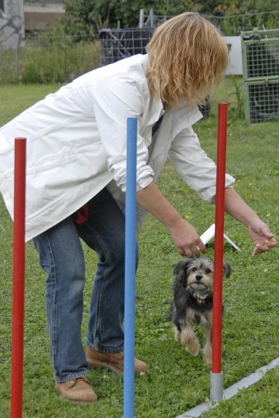 Centre de Formation Canine - photo 2
