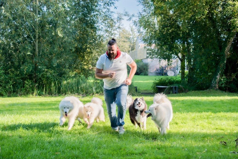 L'ombre du Sam : Éducateur canins diplômé d'état - Garde de Chiens