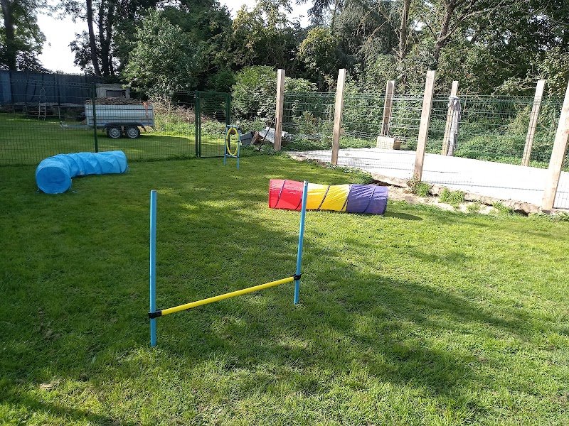 L'ombre du Sam : Éducateur canins diplômé d'état - Garde de Chiens - photo 2