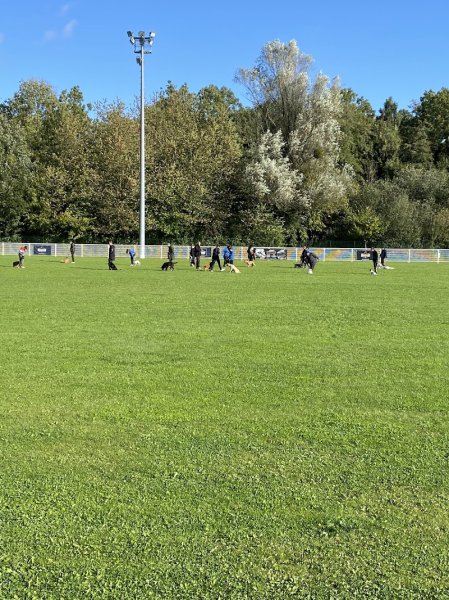 Training Club Canin Strasbourg