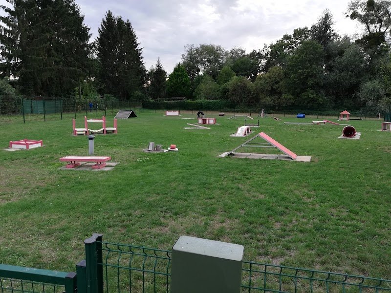 Training Club Canin Strasbourg - photo 2