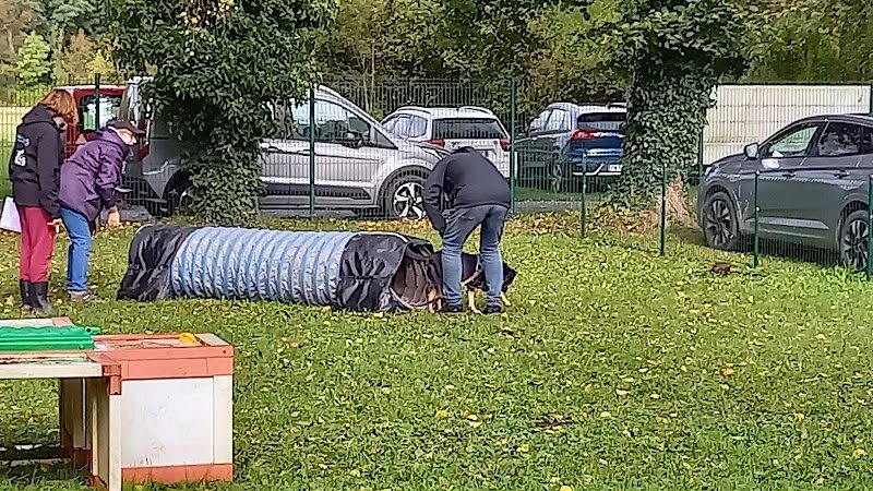 Club canin ACD 78 - photo 3