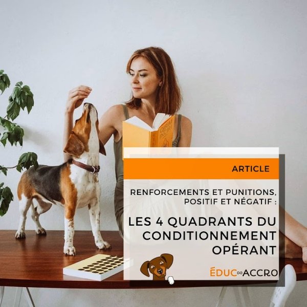 Éduc-Accro • Education canine à Strasbourg - photo 3