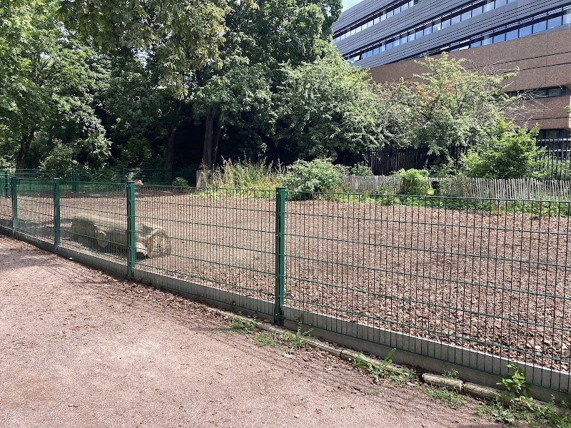 Espace canin clôturé