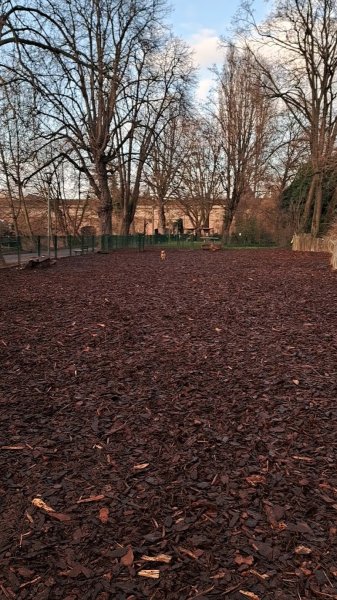 Espace canin clôturé - photo 2