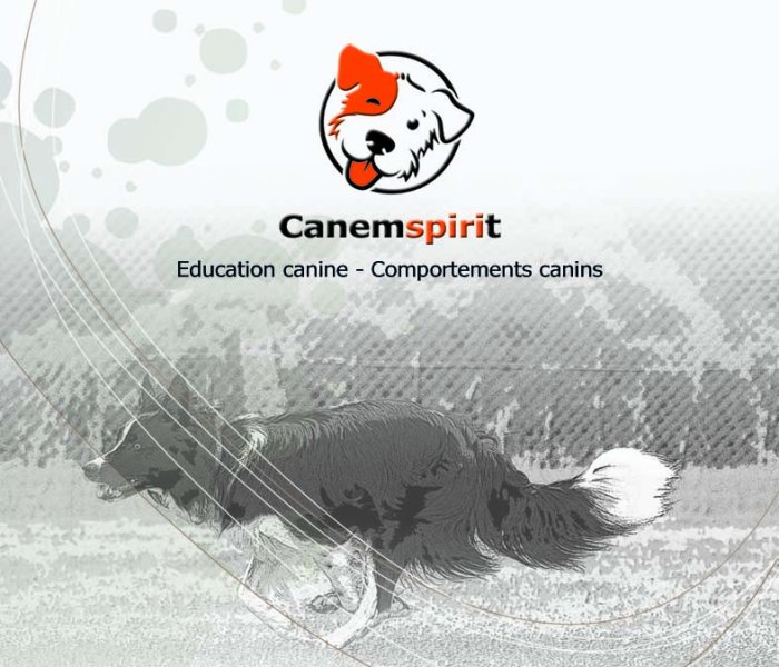 Canemspirit - Educateur canin