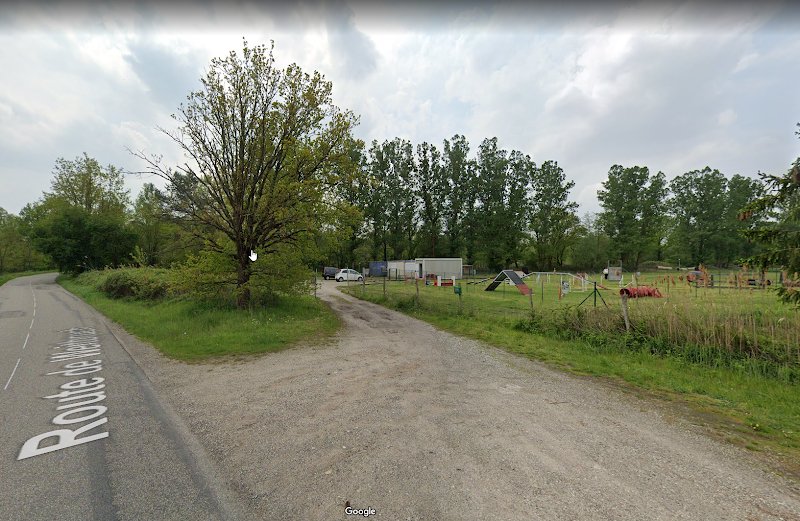 Plix l'Ecole Du Chien