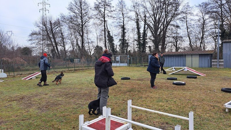 CLUB CANIN DE HAGUENAU