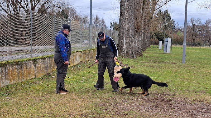 CLUB CANIN DE HAGUENAU - photo 3