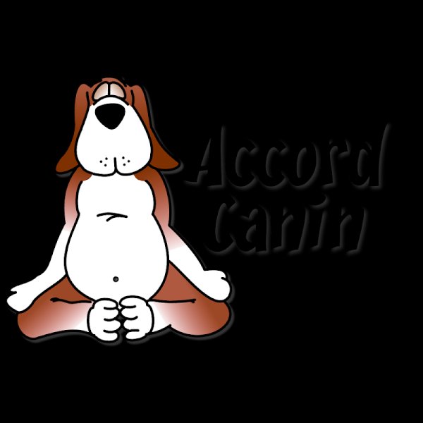 Accord Canin - photo 2