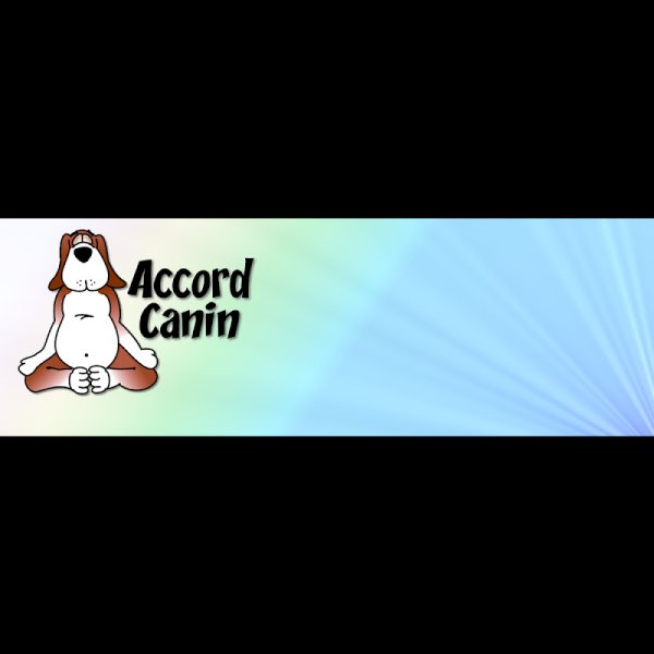 Accord Canin - photo 3