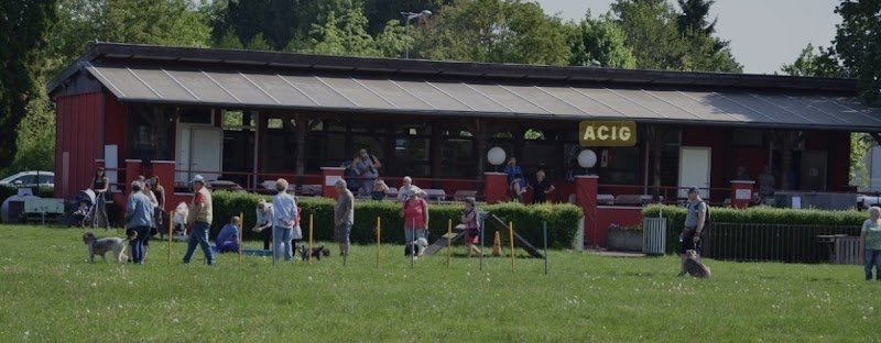 A.C.I.G. Association canine d'Illkirch-Graffenstaden - photo 1