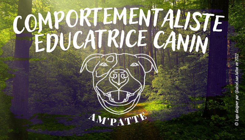 🐾AM'PATTE🐾 Educateur Comportementaliste canin