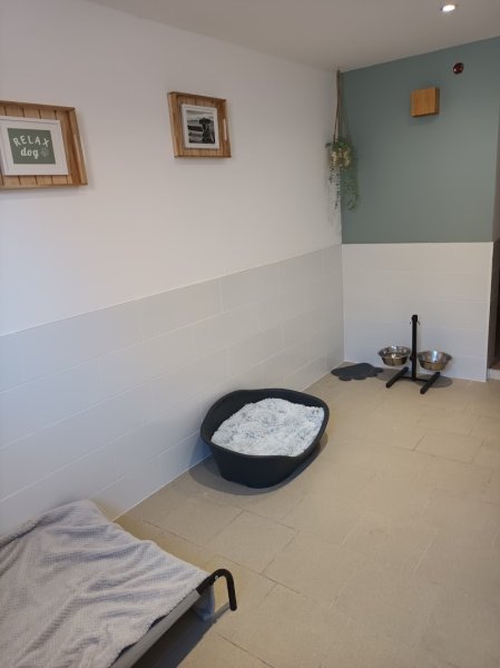 Éducateur Canin Relax dog - Garde d'animaux - photo 3