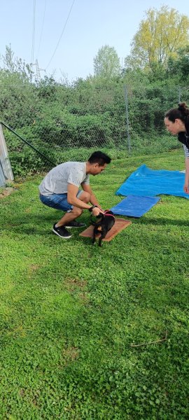 Espace canin Geispolsheim