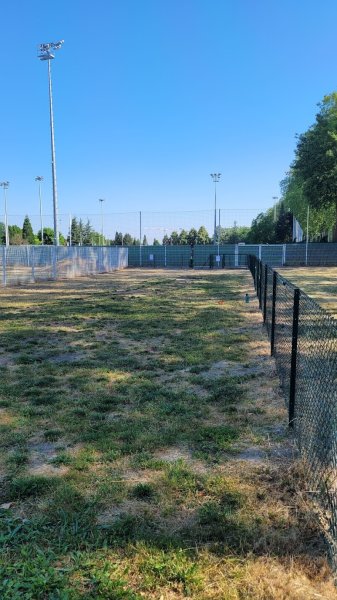 Aire de libres-ébats pour chiens - photo 2