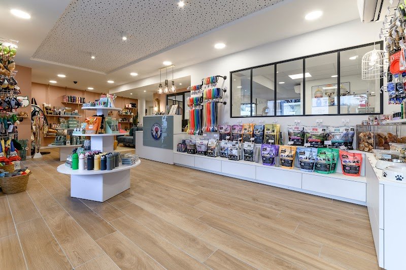 Dog Connection - photo 1