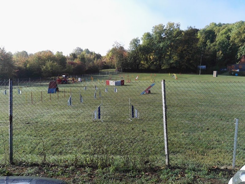 Education Canine d'Obernai - photo 1