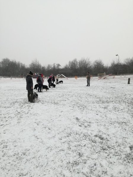 Education Canine d'Obernai - photo 2