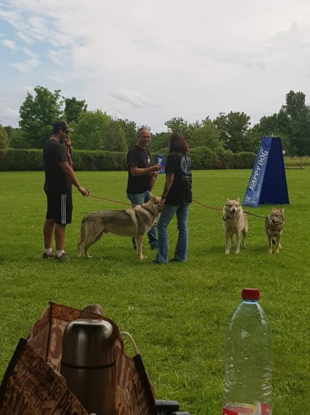 Club Canin d'Erstein - photo 2