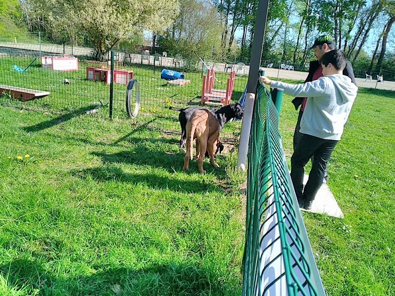 Club Canin d'Erstein - photo 3