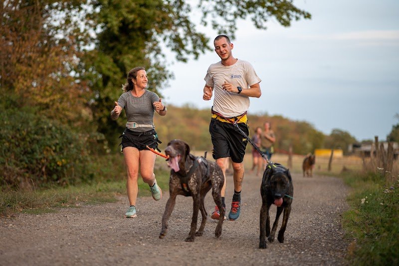 Le chien d'une vie - photo 3