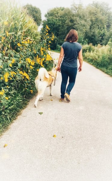 DogSpirit’Educ - photo 2